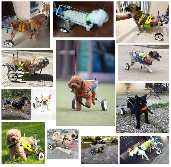 Adjustable Dog Wheelchair, for Pet/Doggie Wheelchairs with Disabled Hind Legs Walking (7-Size)(S)